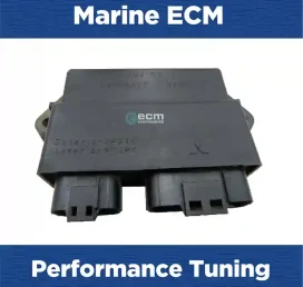Marine Tuning Yamaha Gx 18l 16v 145kw198hp | Euro Diesel ECM